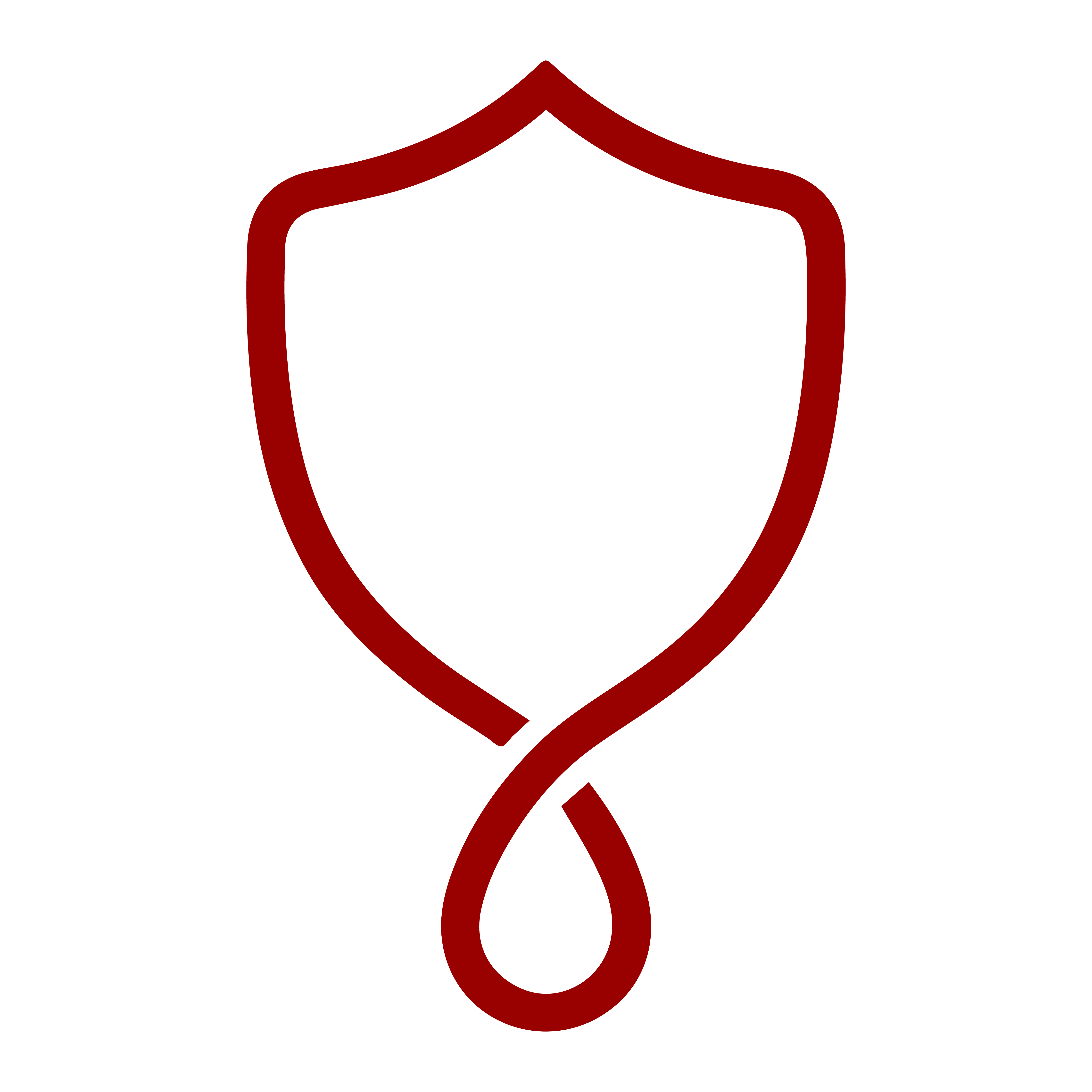 DripSafe Logo